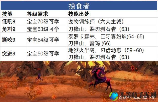 魔兽世界猎人宝宝攻略宝典：掌握宝宝培养与技能搭配秘籍