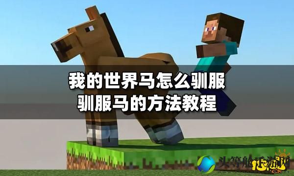 我的世界：驯服与喂养马匹的秘诀——马儿最爱吃什么？