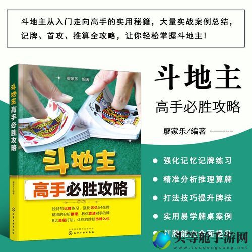 弱智游戏攻略秘籍：轻松掌握游戏技巧与策略