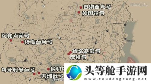 阿帕卢萨马：探索神秘世界的全方位攻略