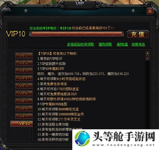 揭秘18VIP特权世界：游戏攻略与资讯一网打尽