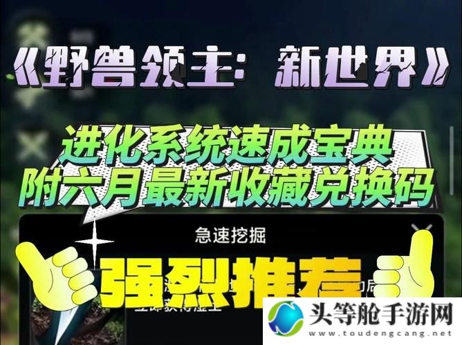 大巴掌攻略与资讯：游戏高手速成宝典