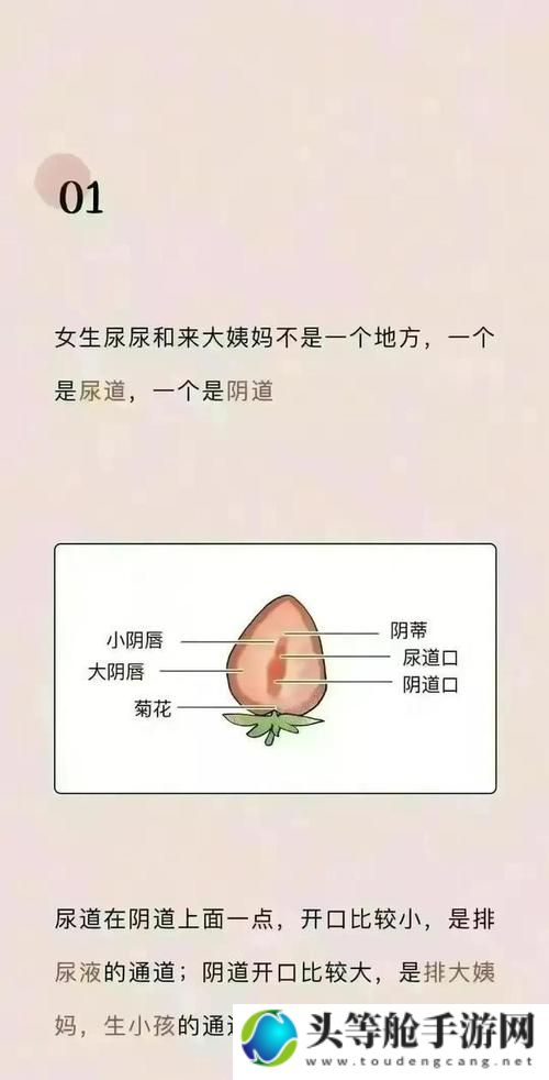 揭秘数字67194背后的神秘故事——舔文化现象探讨