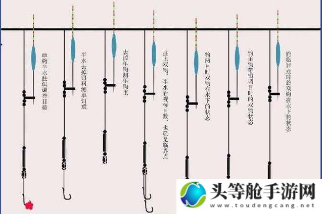 天天钓鱼：钓鱼达人养成攻略秘籍