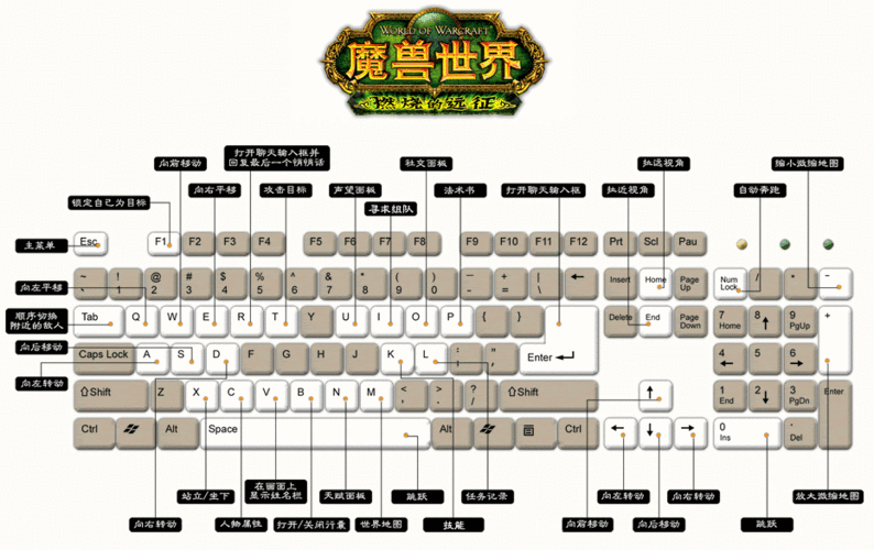 魔兽世界单机版游戏攻略：新手入门指南与秘籍分享