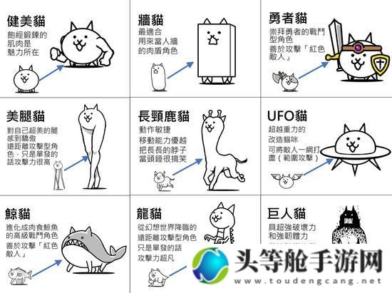 猫猫大作战：全面攻略与深度资讯解析