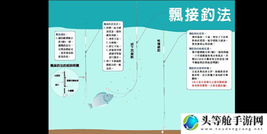 钓鱼发烧友官网独家攻略：新手入门、技巧进阶与资源一网打尽