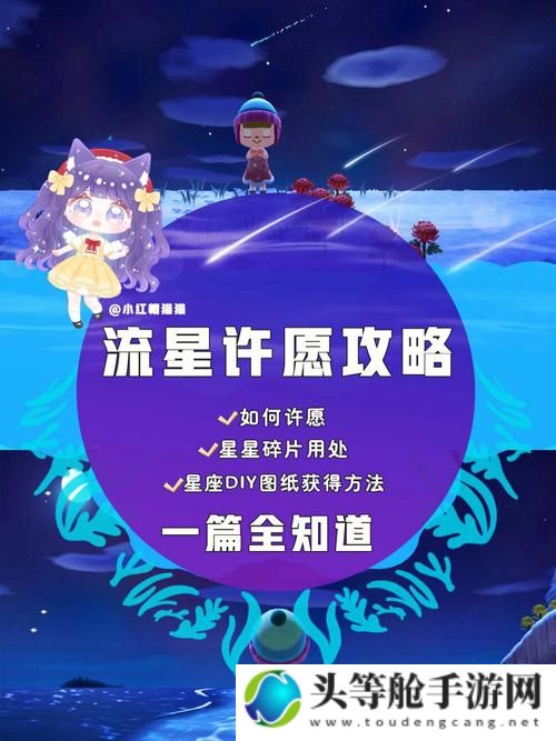 流星许愿：神秘愿望之旅的攻略宝典