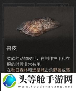 兽皮攻略：探索兽皮世界，掌握游戏内外的秘密资讯