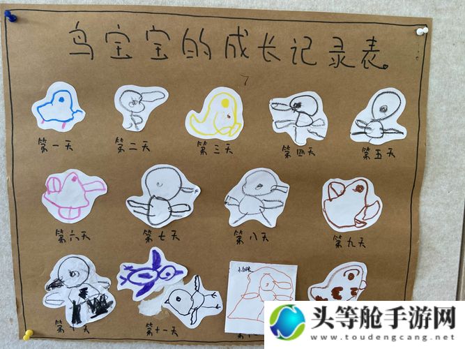 雏鸟成长轨迹：从幼儿到小学生的教育与关怀