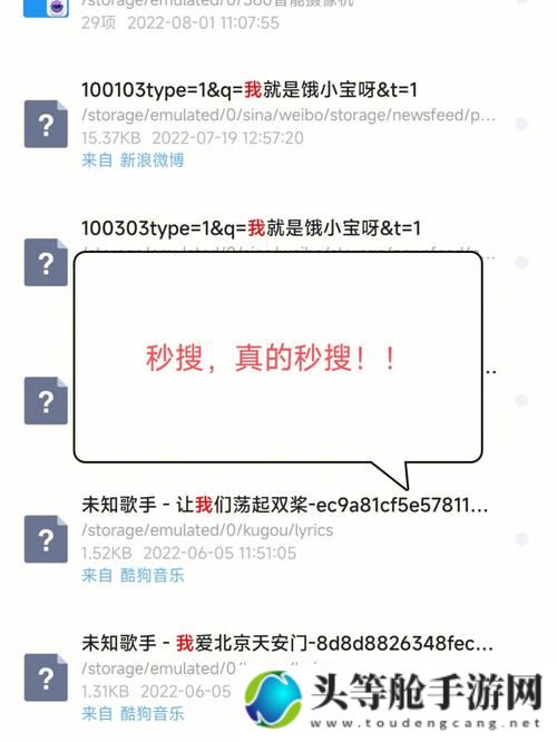 吊逼软件：深度解析与实用建议