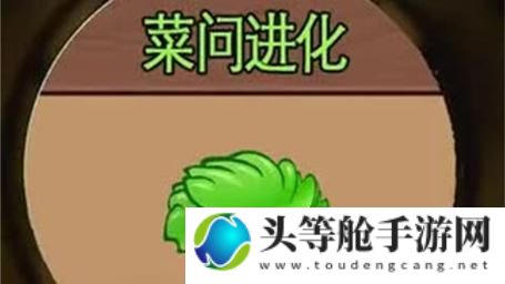 菜问：游戏攻略与角色解析