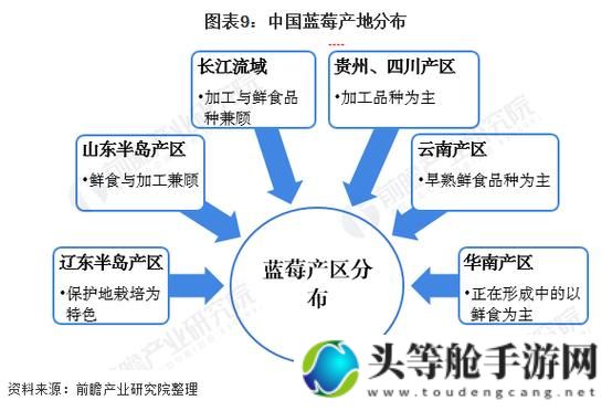 中国精品产区一二三产差异深度解析