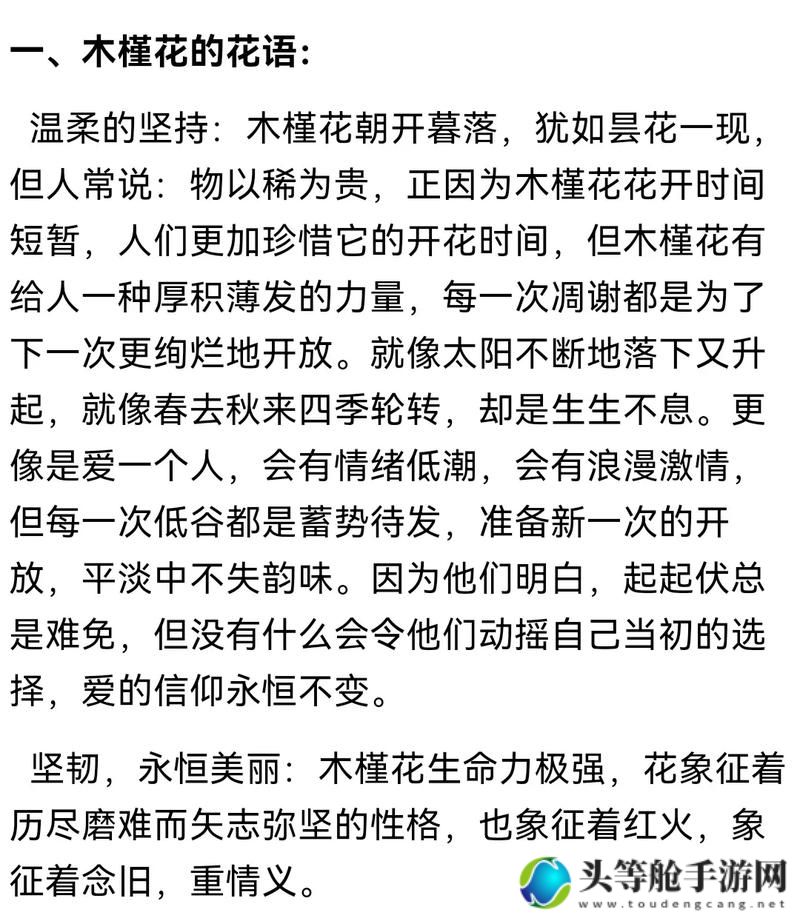 象征友谊的花：深度解析游戏中的花语奥秘与攻略秘籍