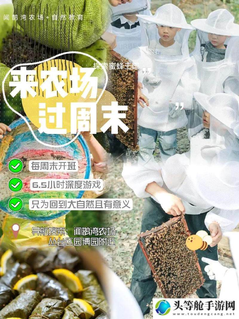 成品网站W灬三叶草源码解析与深度探索