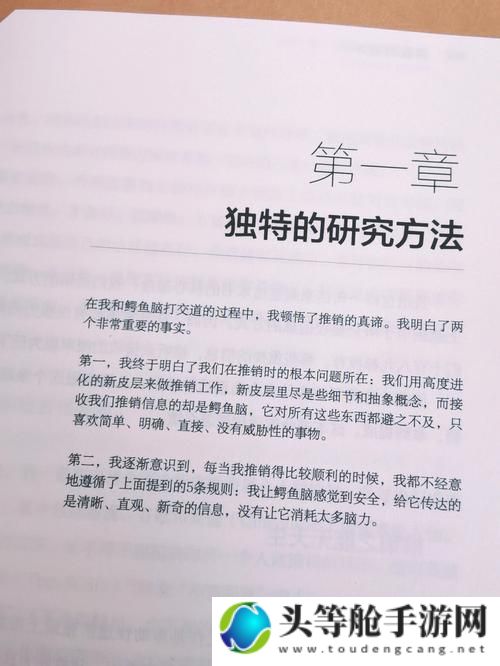 成熟交际的艺术与在线交流趋势洞察