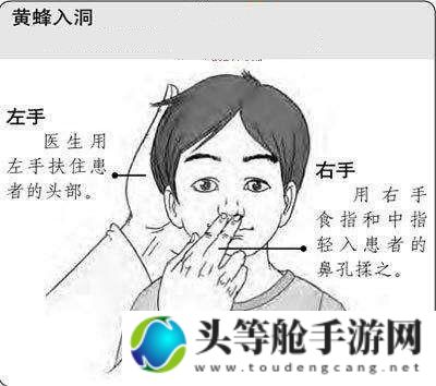 丰年经继拇中文3使用指南：操作方法与技巧