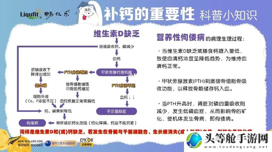 钙GGY2023：探索骨骼健康的秘密与前沿科技应用