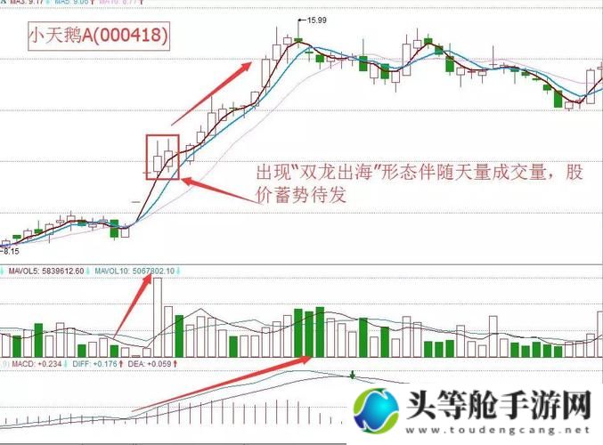 双龙出海：策略攻略与深度解析