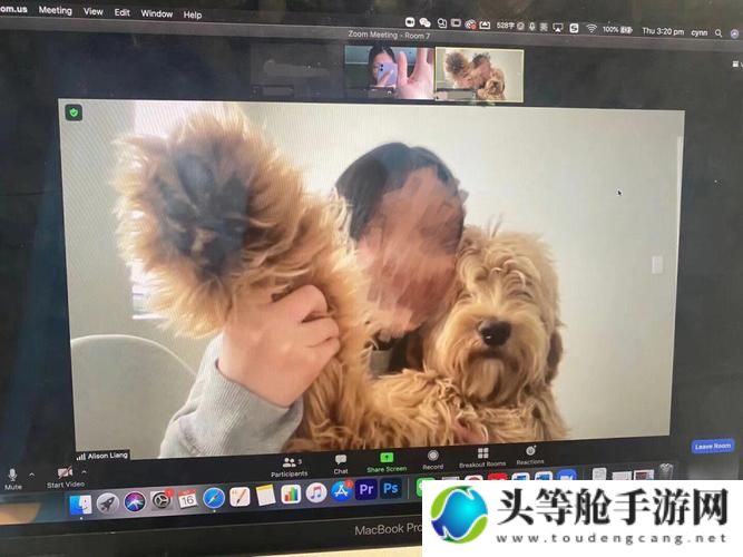 狗Zoom与人类Zoom对比：哪个更优？