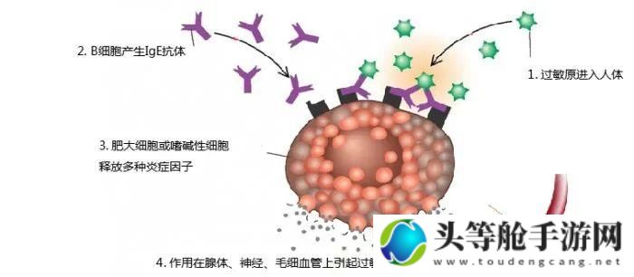 迷雾沼泽探险攻略：生存指南与秘密揭秘