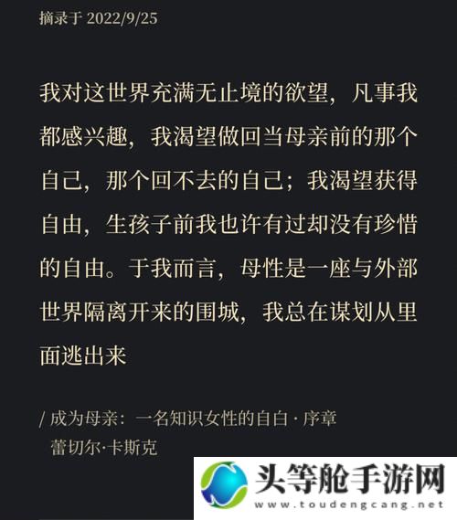 极致偏爱：一场关于数字世界的情感博弈与选择的艺术