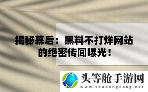 今日热点事件揭秘：黑料不打烊，深度剖析背后的真相