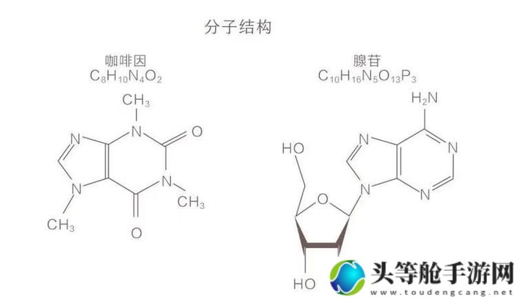 镜中世界：揭秘流水与白色液体的真相，健康生活从此开始！