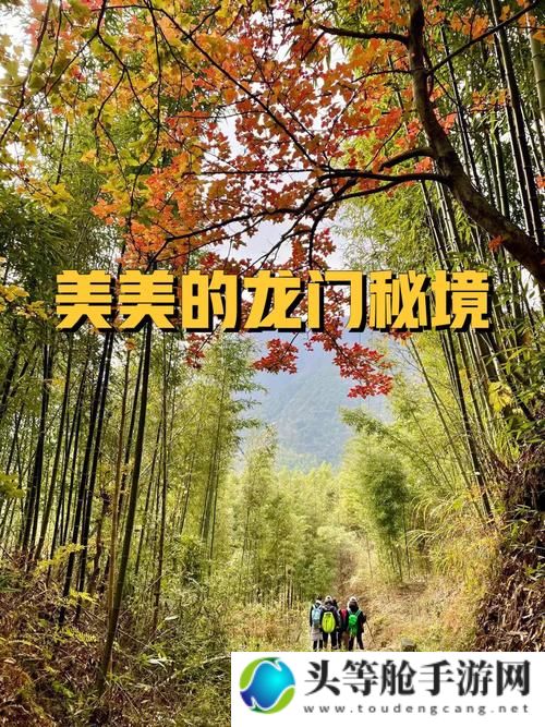 鹤啸山谷地探险攻略：探索秘境，挑战极限