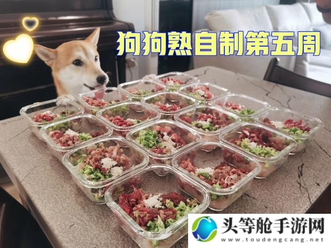 人狗胶配方大全及狗狗日常饮食建议——狗狗一天吃多少为最佳