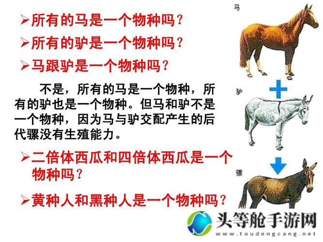 人马畜禽人的共生关系：探索和谐共处的智慧与价值