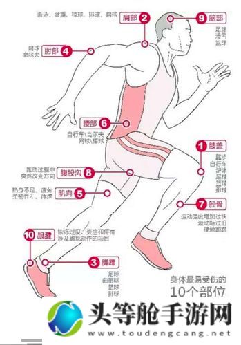 宿舍H3C原文骨科知识深度解析