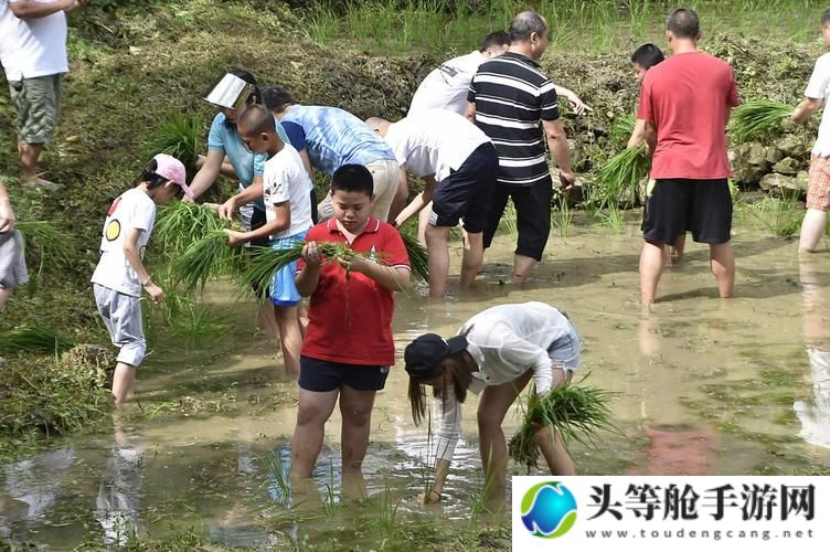 外国情侣插秧方法深度解析与体验分享