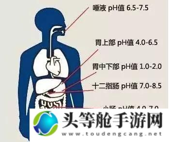 周家日常3pH生活：酸碱平衡与健康生活