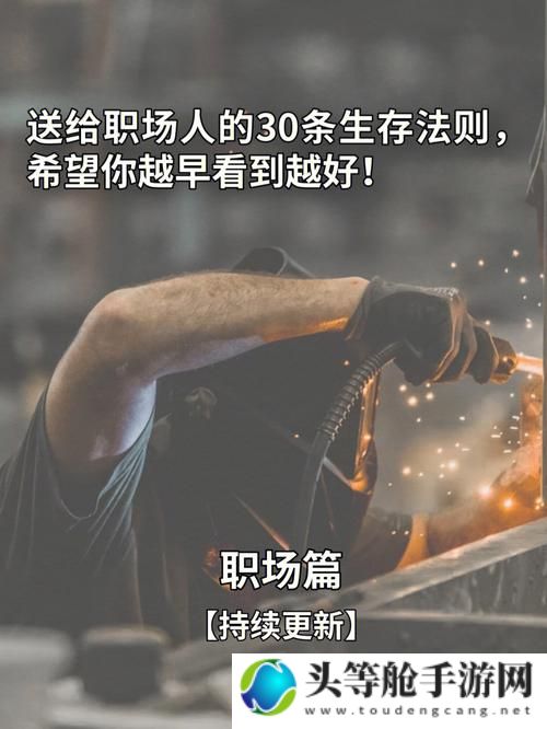 狼群之下：生存法则与战术指南