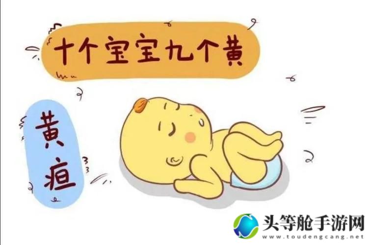 毽子花的秘密：解锁游戏新姿势与实用攻略