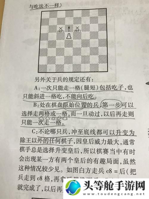 双人国际象棋攻略：掌握策略，与友共战棋海之乐