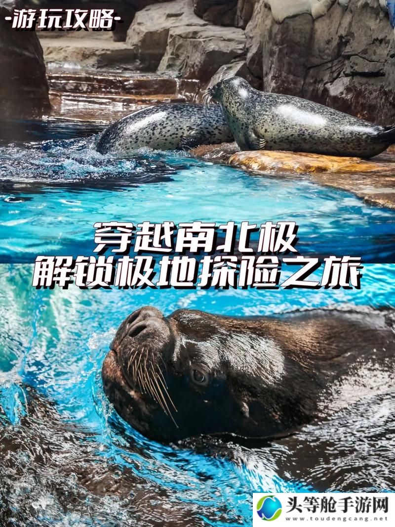 海之眼探险攻略：解锁深海奥秘，开启冒险之旅