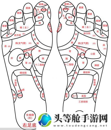 足霸天下：全方位攻略与深度资讯解析