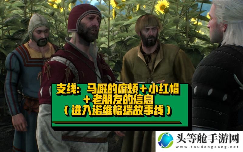 巫师3诺维格瑞全面攻略：探索未知，征服神秘之地