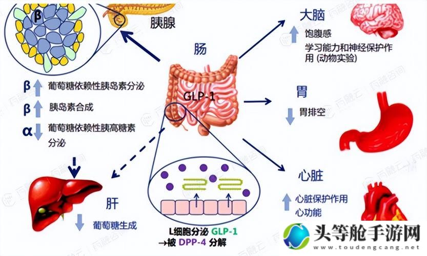 血的代价：深度攻略与全面解析