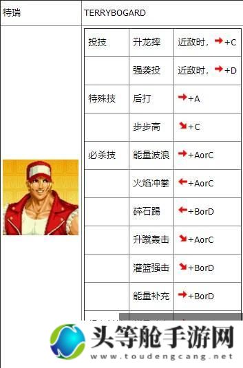 拳皇特瑞攻略秘籍：掌握技巧，成为终极格斗之王！