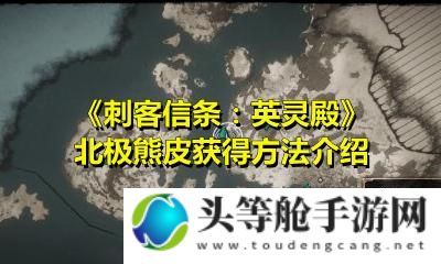 揭秘一什么熊皮：游戏攻略与资讯全解析