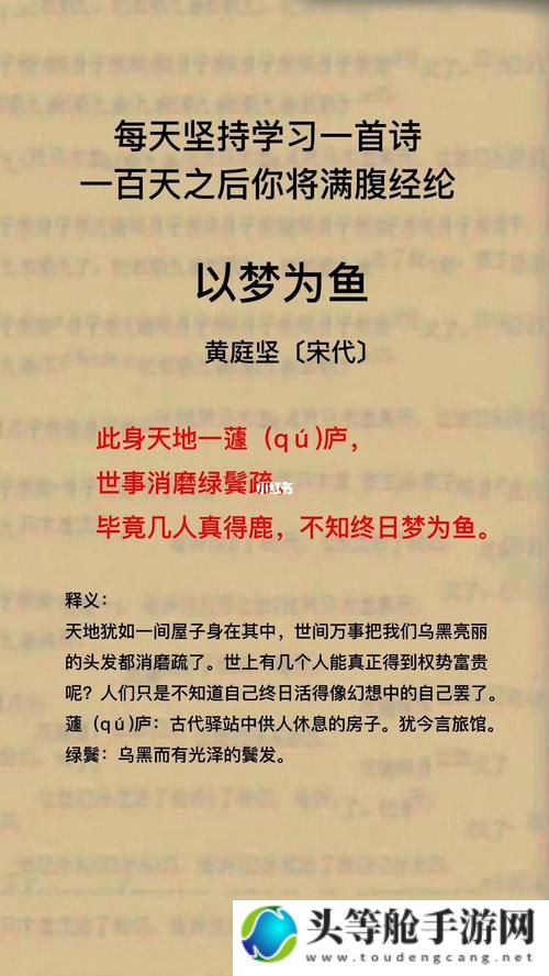 槐南一梦：深度攻略与全面解析