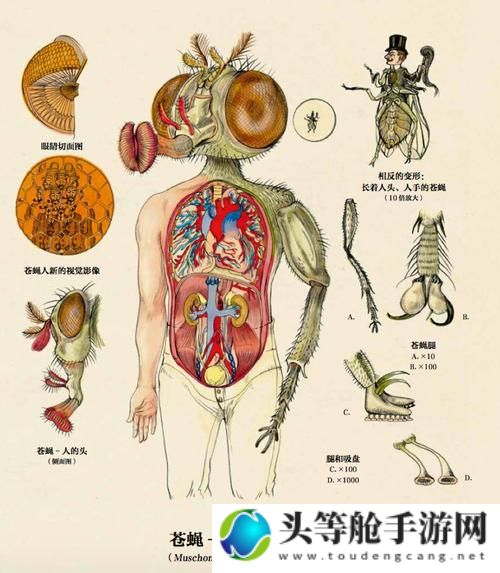 奇加欠：探寻背后的故事与深意