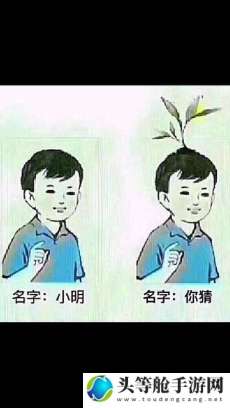 探寻小明：一个普通名字背后的故事