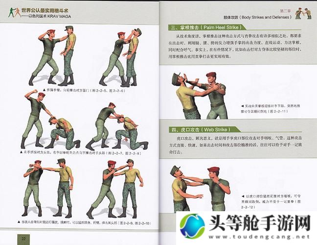 近身格斗：技艺、策略与实战应用