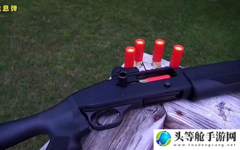 龙息弹：揭秘神秘武器的真实面目