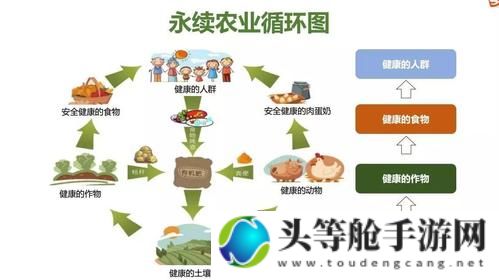 小农场的生机与希望：探索可持续农业之路