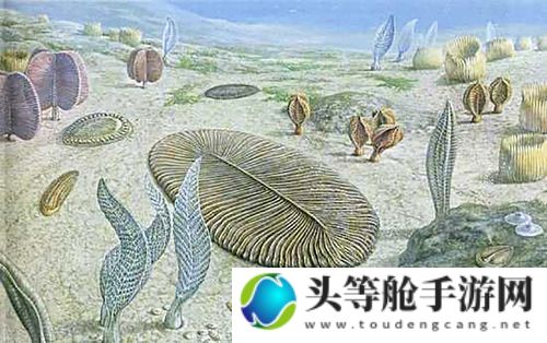 滚滚蝙蝠：神秘生物背后的故事